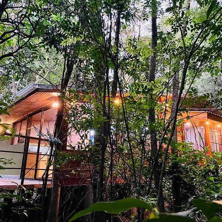 Cabanas La Montana Mountain Lodge Monteverde Esterno foto