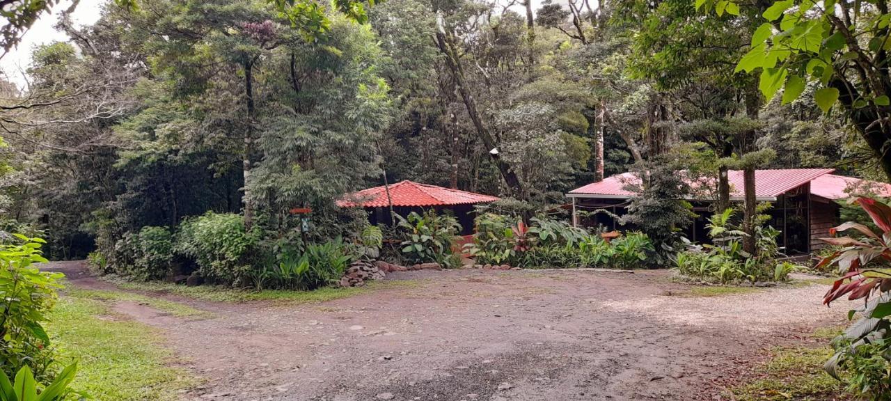 Cabanas La Montana Mountain Lodge Monteverde Esterno foto