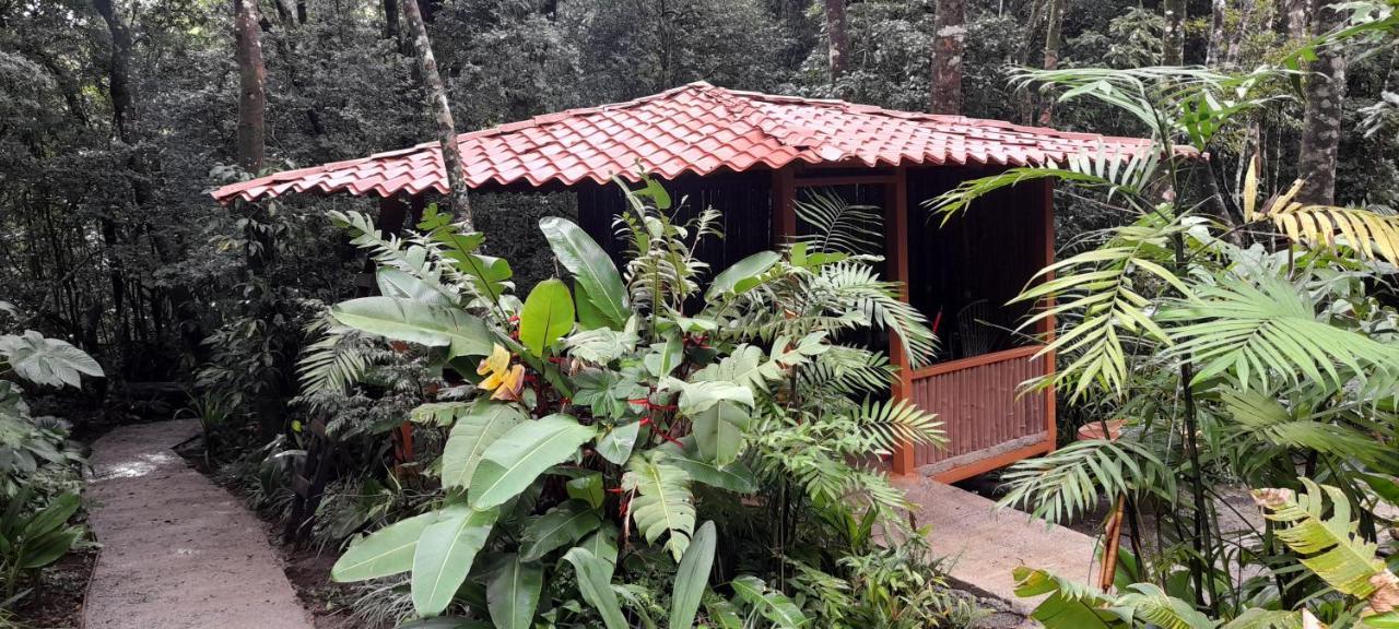 Cabanas La Montana Mountain Lodge Monteverde Esterno foto