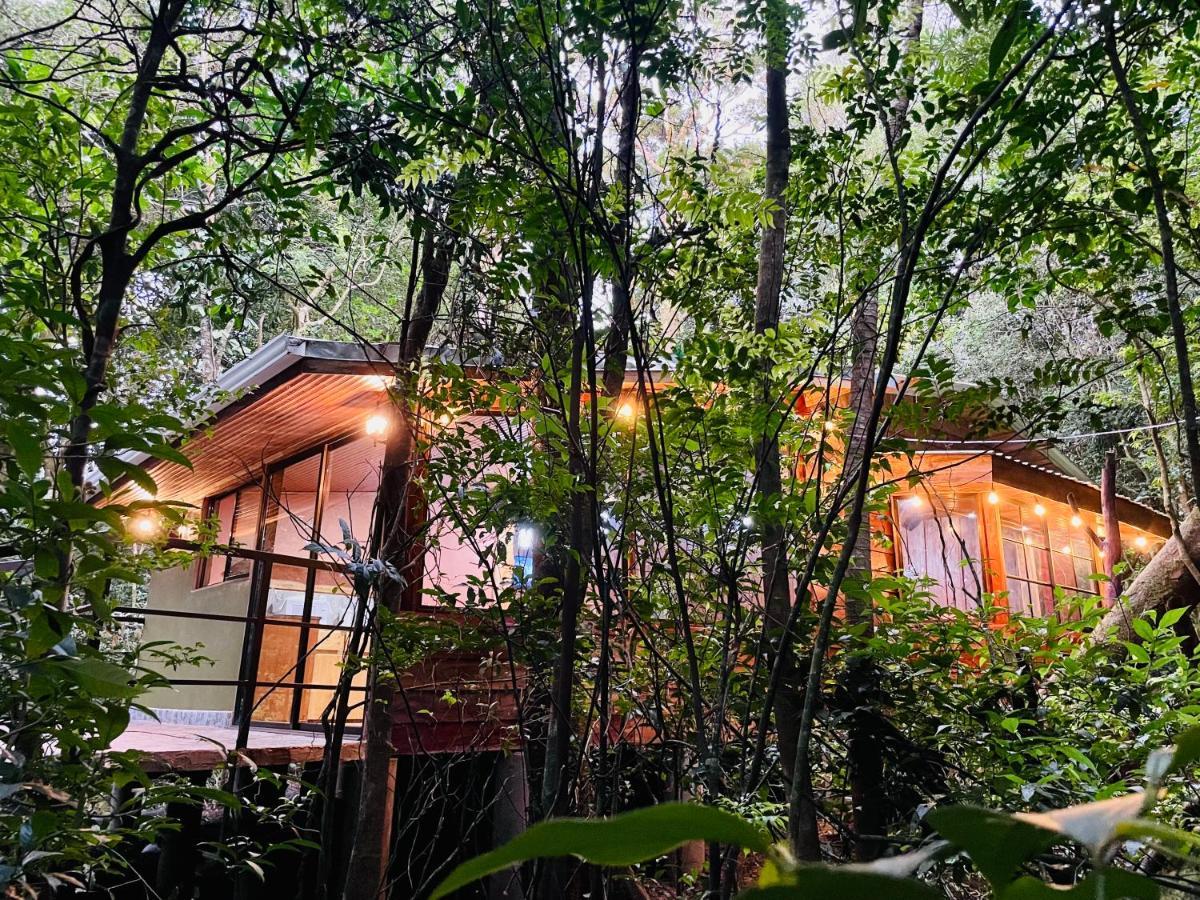 Cabanas La Montana Mountain Lodge Monteverde Esterno foto