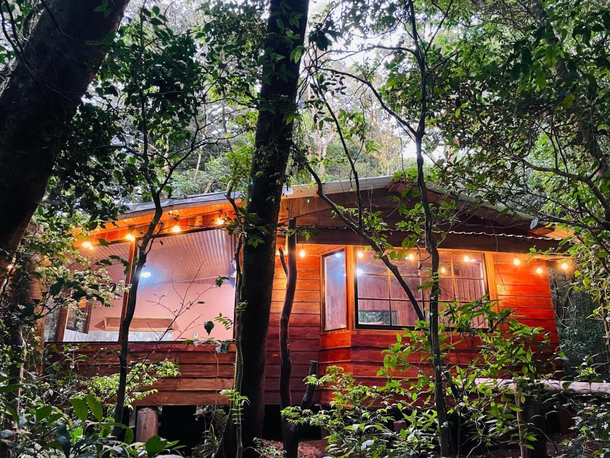 Cabanas La Montana Mountain Lodge Monteverde Esterno foto